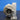 49189-00580 BACK