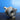 IHI_MYDI BACK