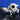 5303-970-0189 BV43 BACK