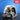 NISSAN CEDRIC VQ30DET BOLT IN UPGRADE BACK