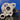 TOYOTA YARIS G16E TCRX500 FRONT VIEW