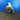 Borgwarner Turbo For Libherr Earth Mover K27