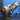 S300BV 177011 Back