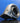 S400SX/SXE T6 DIVIDED 1.32 A/R TURBINE HOUSING