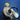 TF035 49135-03320 Front