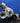 VW Transporter BV39 5439-970-0084 Front