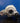 Garrett Turbo For Ldv V80 Mgt1752S