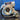 Holset He221W With 5.5Cm Turbine Housing