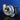 Holset Turbo For Hx40W Doosan Industrial 7.7L