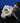 5303-970-0189 BV43 FRONT