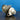 Jrone Turbo For Holden Colorado/D-Max 4Jj1 Viez