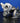 HYUNDAI VELOSTER 28231-2B720 FRONT