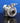 Jrone Turbo For Subaru Legacy/Outback Ej25 Vf46