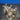 M10 X 1.25 45Mm Titanium Stud Set Raw Finish